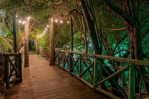 The gardens and grounds at Hacienda del Secreto, including The Butterfly Landing wellness pavilion