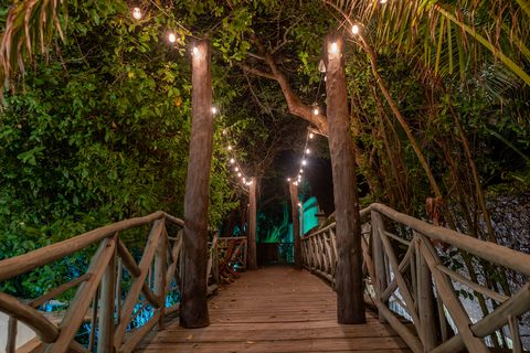 The gardens and grounds at Hacienda del Secreto, including The Butterfly Landing wellness pavilion