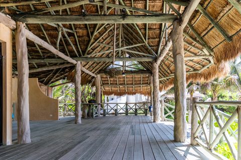 The gardens and grounds at Hacienda del Secreto, including The Butterfly Landing wellness pavilion