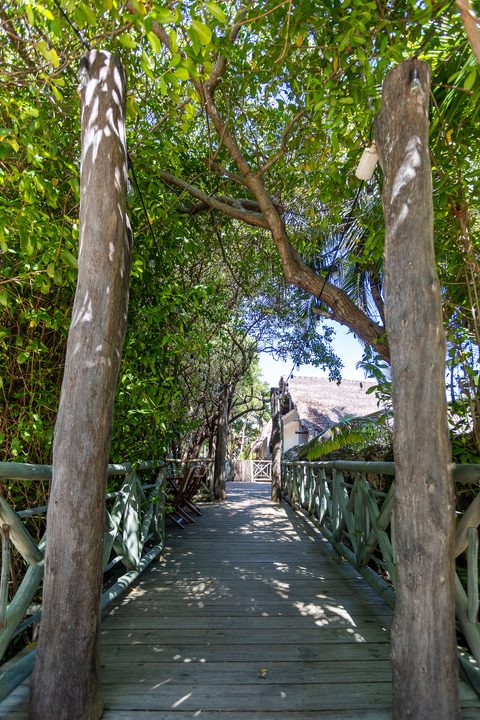 The gardens and grounds at Hacienda del Secreto, including The Butterfly Landing wellness pavilion