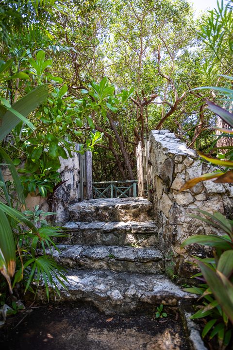 The gardens and grounds at Hacienda del Secreto, including The Butterfly Landing wellness pavilion