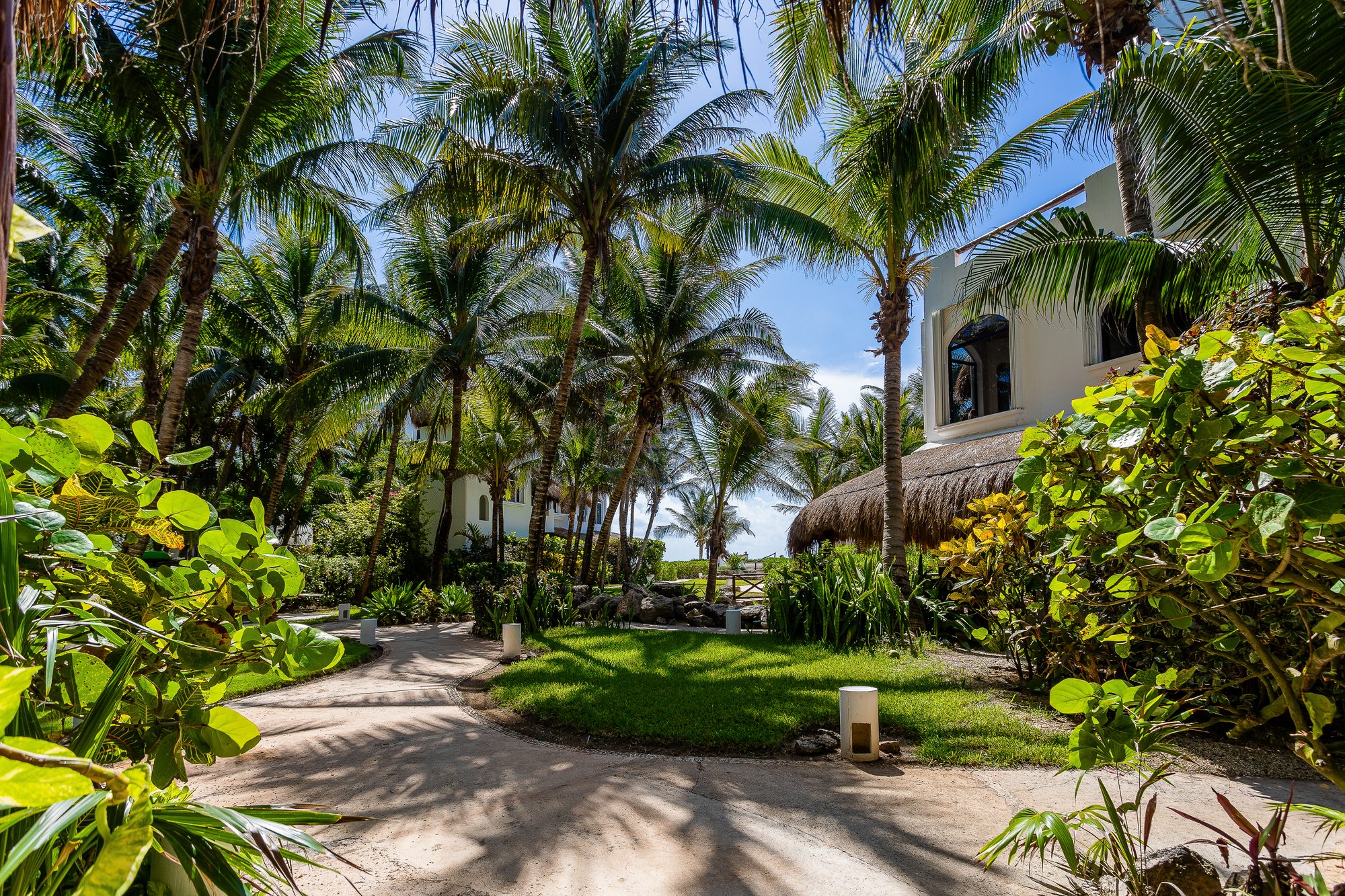 A palm-shaded garden path opening toward the sand at Playa del Secreto