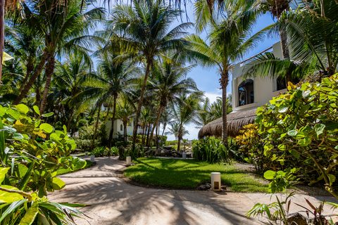 A palm-shaded garden path opening toward the sand at Playa del Secreto